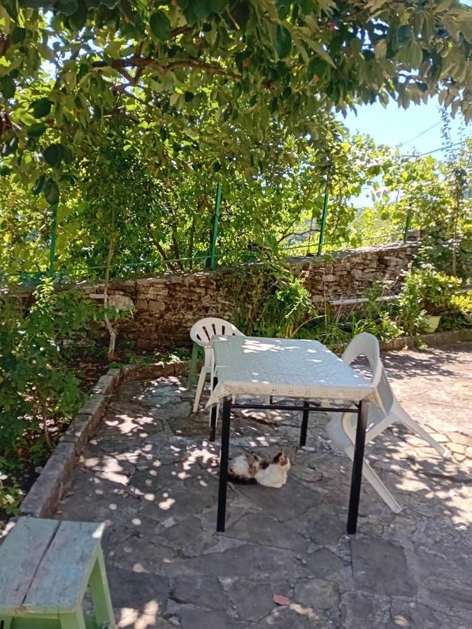 Stone Pazar Guest House Gjirokaster Ngoại thất bức ảnh